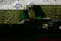 SAM_1260.JPG