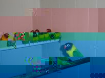 26900025_1_800x600.jpg
