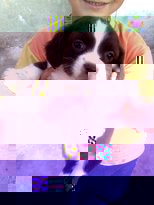362_3.jpg