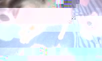 IMAG0258.jpg