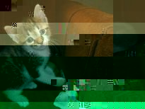 207_2.jpg
