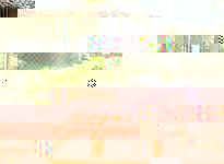 ALIM5369.JPG